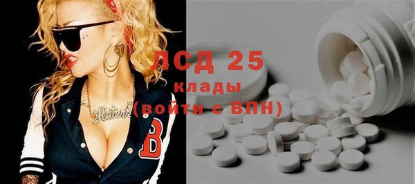 гидра Ельня