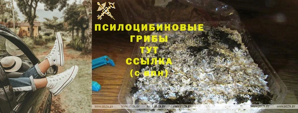 первитин Карпинск