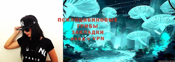 трава Арсеньев
