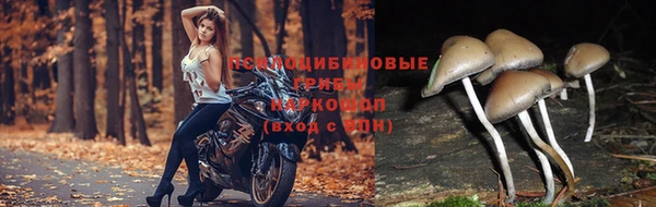 дживик Карталы