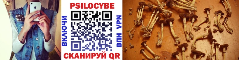 Псилоцибиновые грибы мицелий  где найти   Афипский 